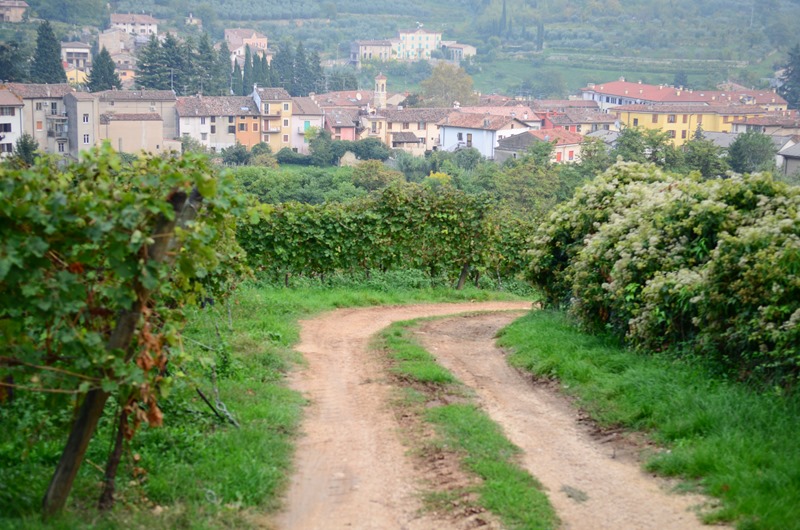 [Italian%2520Villa-41%255B4%255D.jpg]