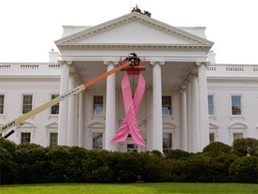 [pink%2520ribbon.jpg]