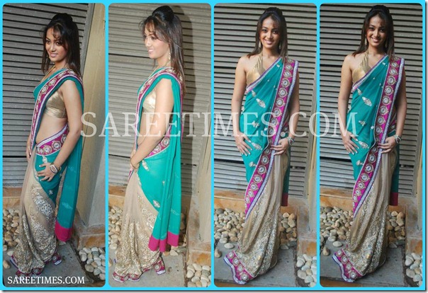 Riya_Sen_Embroidery_Saree