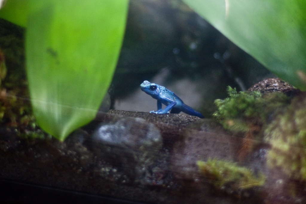 [20121215-IMG_3886%255B4%255D.jpg]