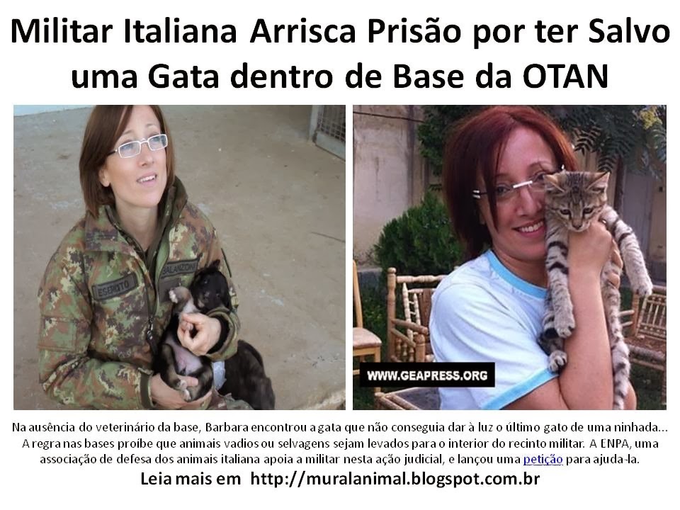 [Militar%2520Italiana%2520Arrisca%2520Pris%25C3%25A3o%2520por%2520ter%2520Salvo%2520uma%255B3%255D.jpg]