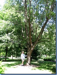 6483 Ottawa 1 Sussex Dr - Rideau Hall - Bill beside silver maple planted by Ronald Reagan