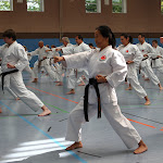 H25D2900.JPG