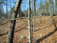 DSCN1854.JPG
