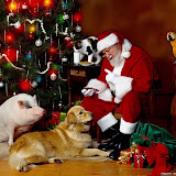 Navidad%2520Fondos%2520Wallpaper%2520%2520725.jpg