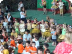 DSC03376 DSC03376