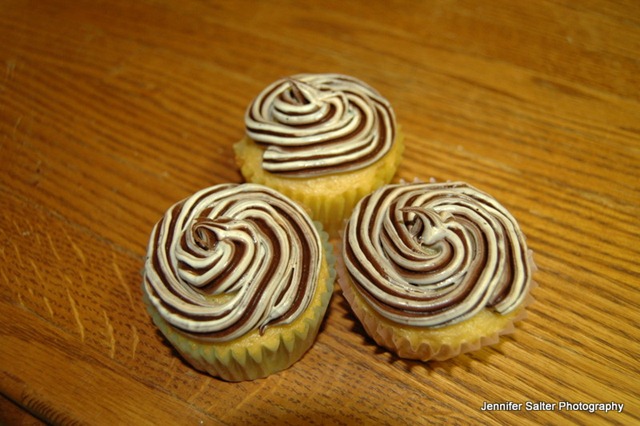 cupcakes 003