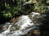 IMG_8591.JPG Photo