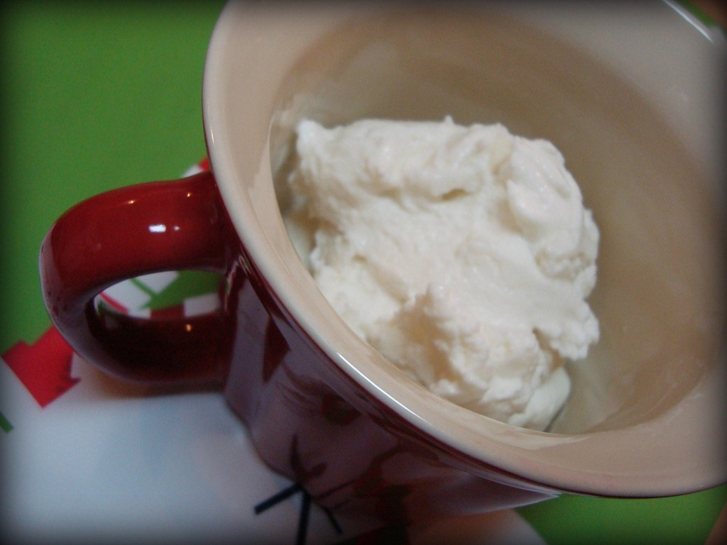 [froyo_plain%255B4%255D.jpg]