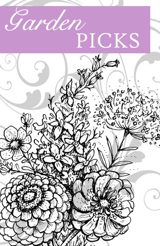 [Garden%252BPicks%252BGraphic%255B4%255D.jpg]