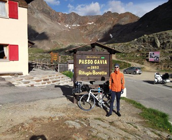 Gavia Gavia