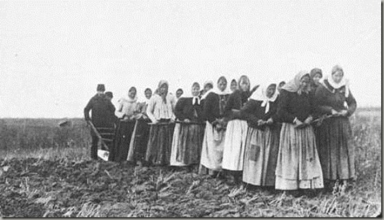 1897farming