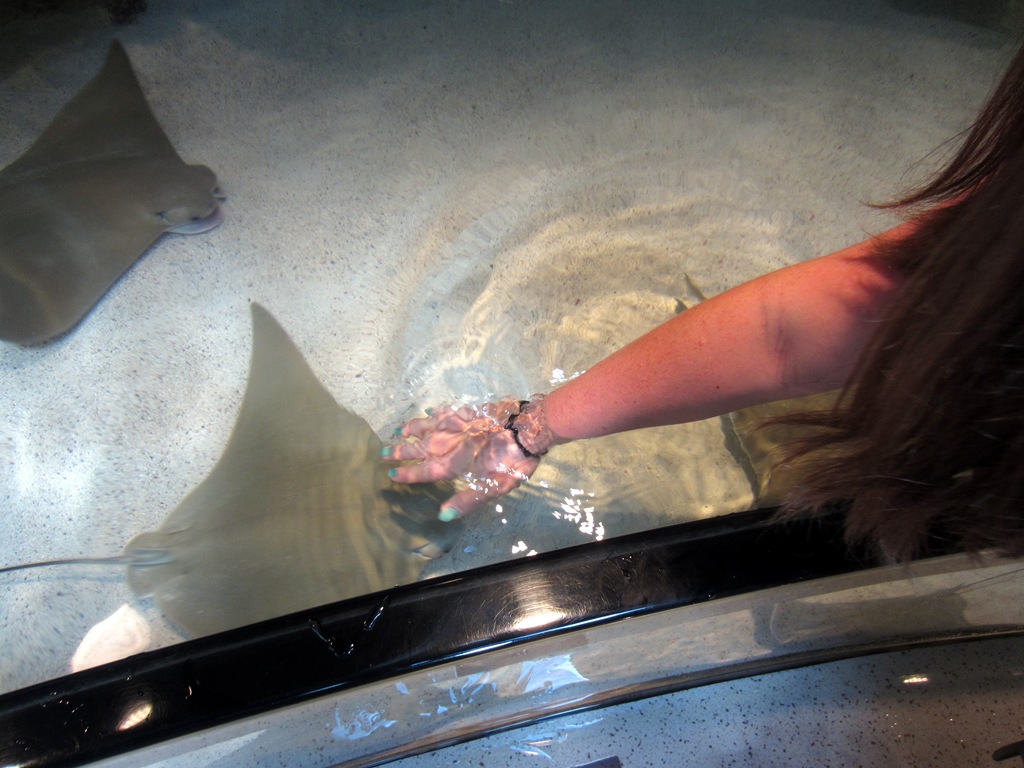 [IMG_0449%255B3%255D.jpg]