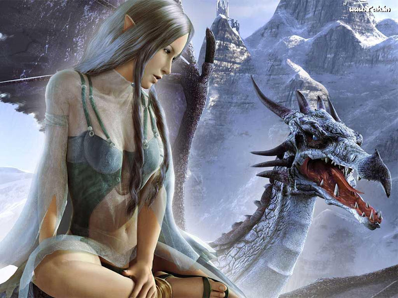 Elf And Dragon, Dragons