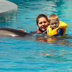 Primul contact fizic cu delfinii