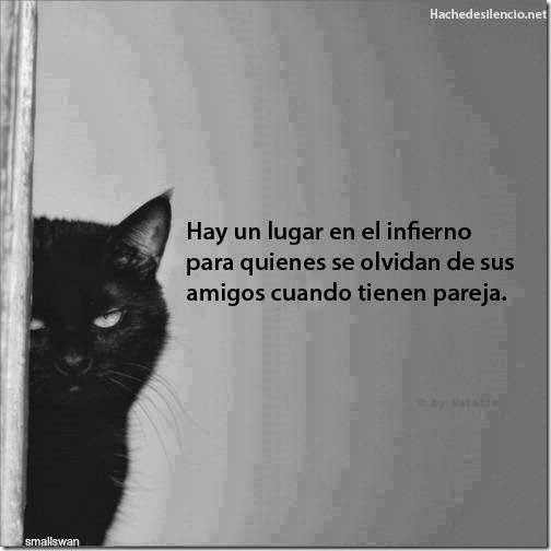 hay un lugar en el infierno para quienes se olvidan de sus amigos cuando tienen pareja hay un lugar en el infierno para quienes se olvidan de sus amigos cuando tienen pareja
