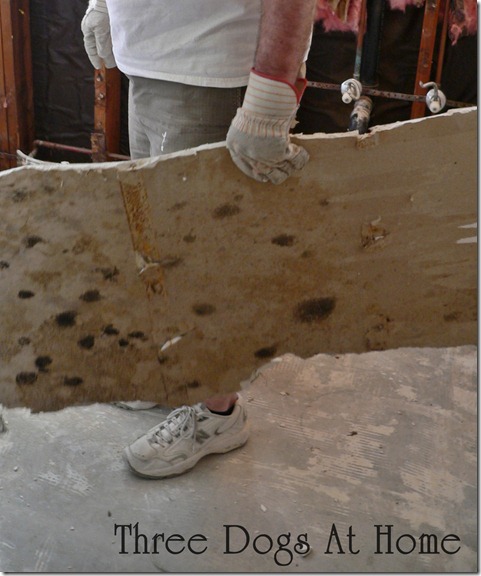bath demo 008