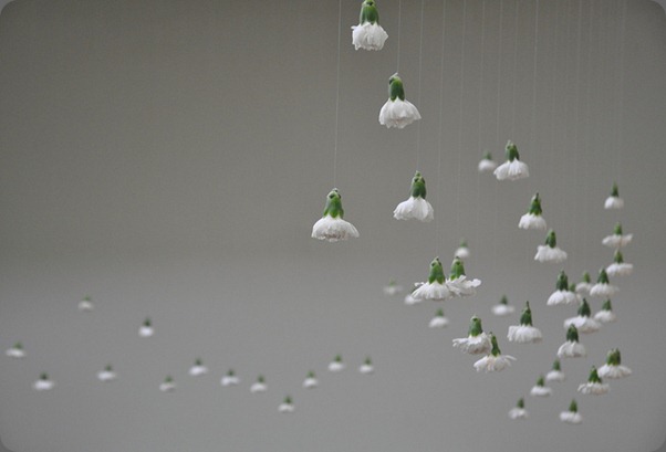 5660387139_2ac4b0503f_z lotte and bloom 5660387139_2ac4b0503f_z lotte and bloom