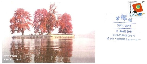 Chinar-2011 001