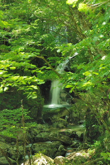 甚四郎滝