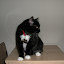 DSCN8303.jpg DSCN8303.jpg