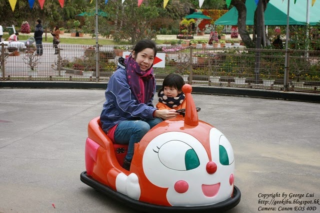 IMG_3610 IMG_3610