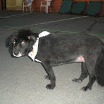 DSCN3582.jpg