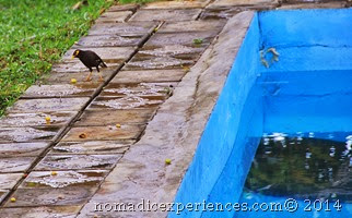 DSC_1750 DSC_1750