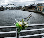 2013-04-04.jpg