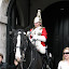 IMG_5346.JPG