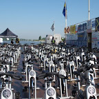 20100605_003_small.JPG