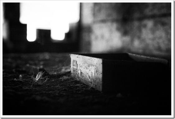 sin_título-181-Editar sin_título-181-Editar