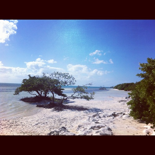 photo 1 (3)