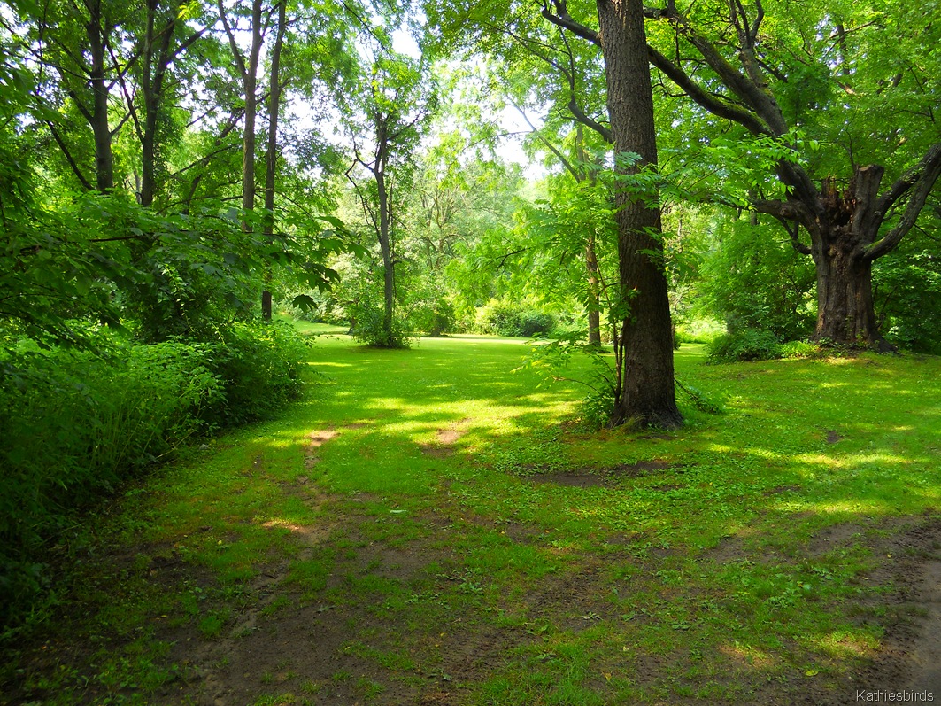 [10.%2520riverbank-kab%255B4%255D.jpg]