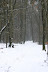 Winterhike: Fotos & Videos IMG 0757 Winterhike: Fotos & Videos