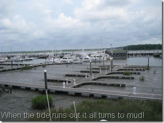 IMG_5458 IMG_5458