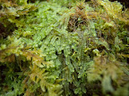 20130220_Light1_009-2.jpg