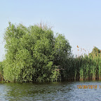 IMG_7818.JPG