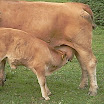 S1051579.JPG