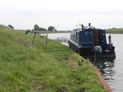 friends barge