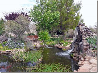 Rusty's Pond and Garden2 Rusty's Pond and Garden2