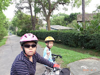 R0010447.JPG Photo