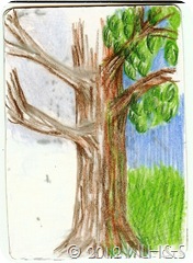 scan0011