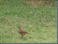 Iate Clube São L. do Sul 001