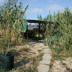 2009 (11).JPG