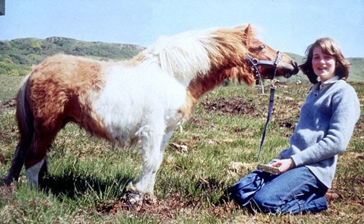 [clip_image006%255B3%255D.jpg]