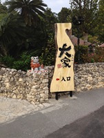 IMG_6260 IMG_6260