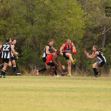 IMG_7306.JPG