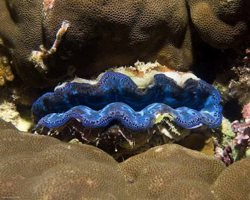 P7034537