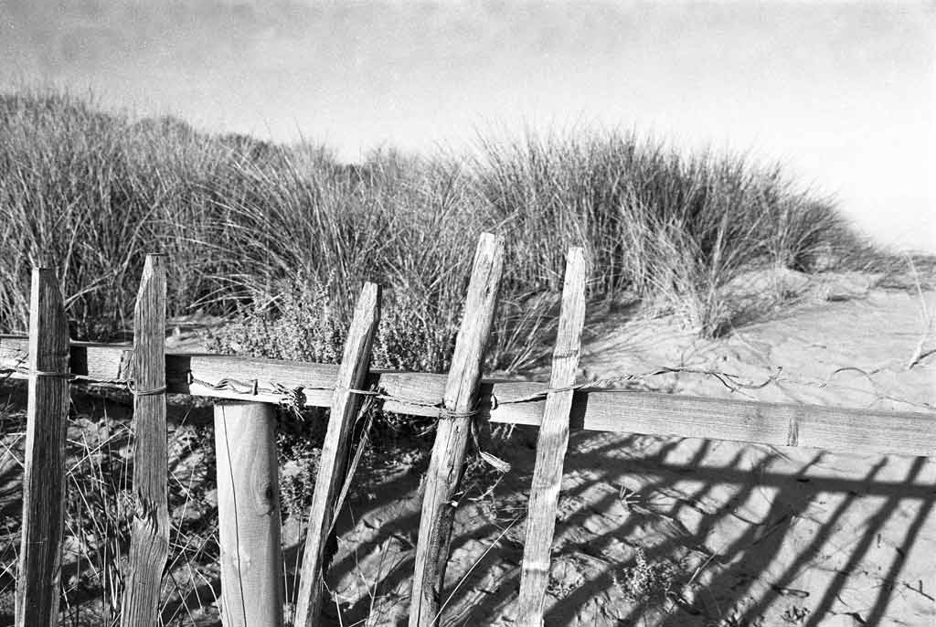 [Sand-Dune-Fencing-9%255B3%255D.jpg]